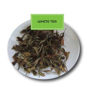 White Tea & Bud